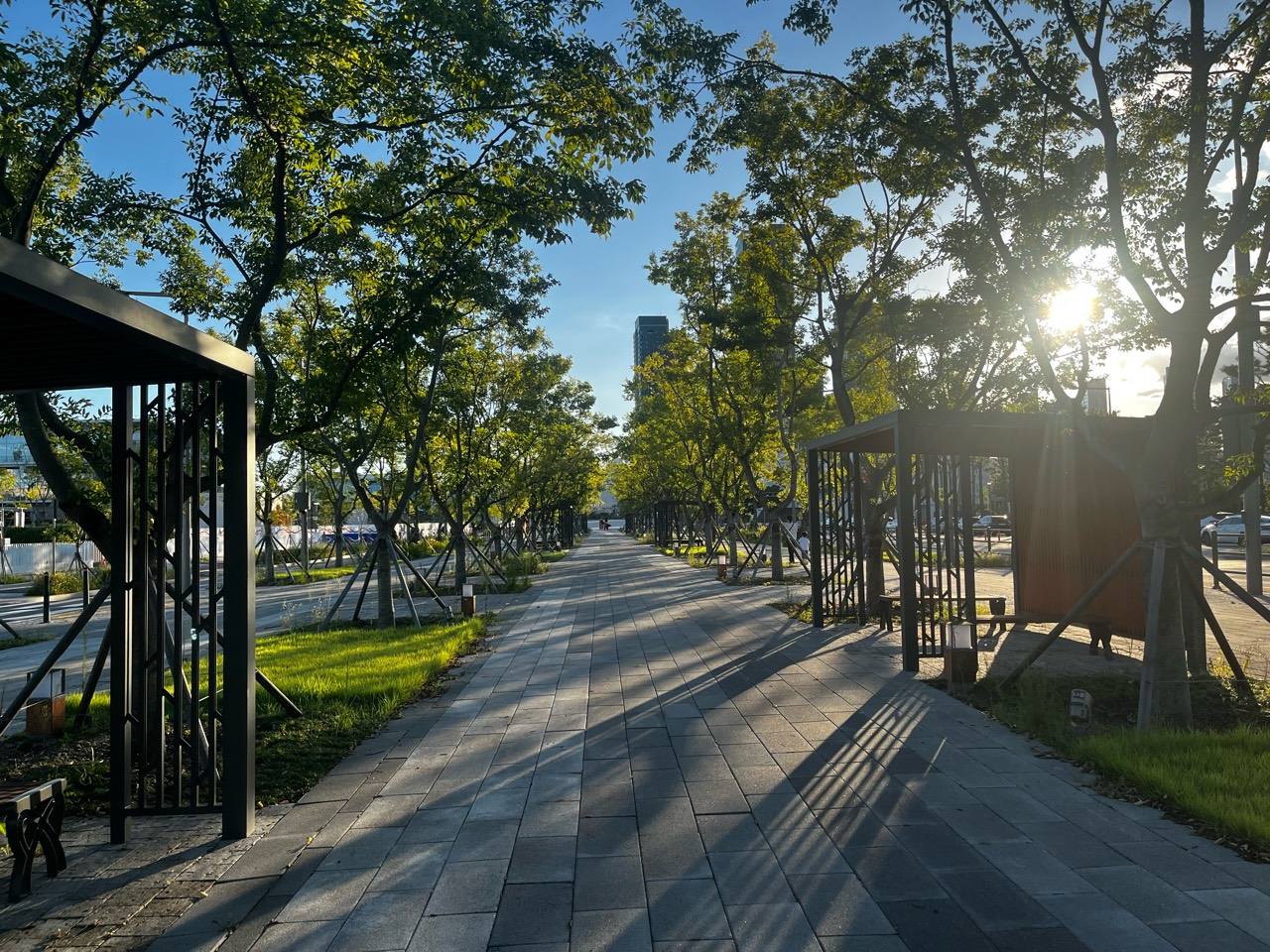 Tree-lined walking avenue