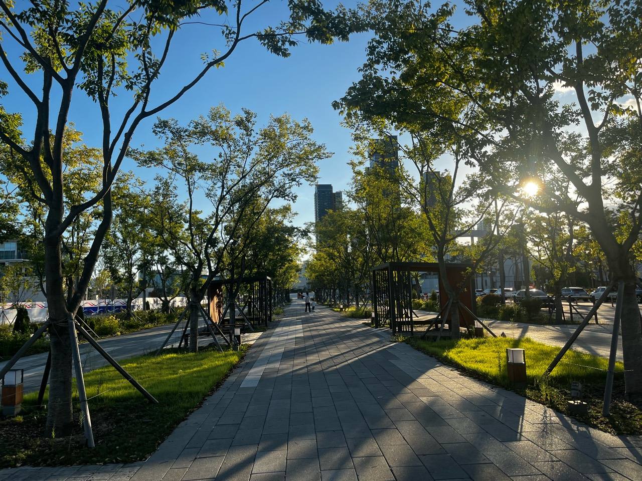 가로수와 격자형 쉼터 사이로 곧게 이어지는 중앙공원 방면 보행로