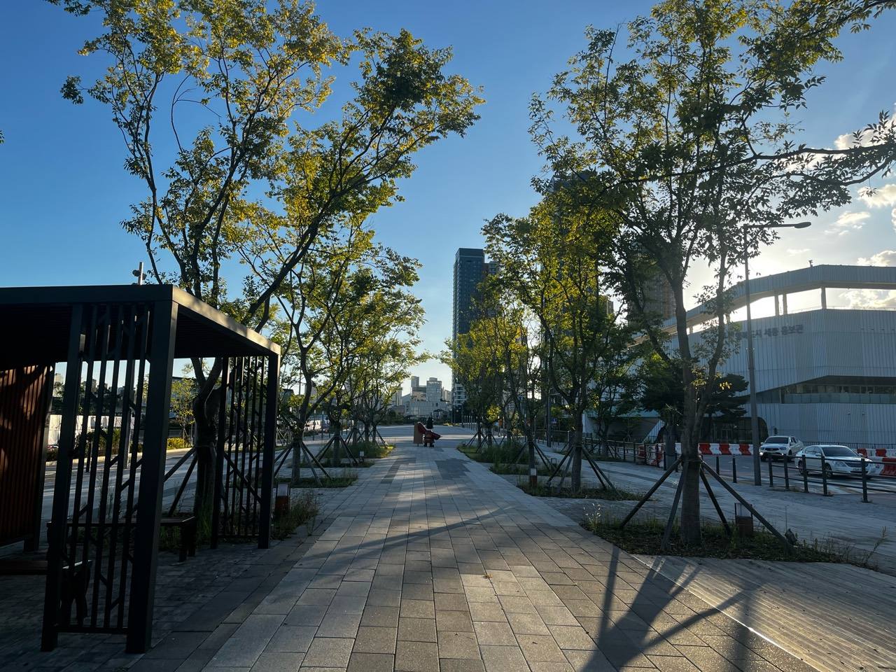 가로수길 끝으로 도심 건물과 넓은 보행 공간이 보이는 풍경