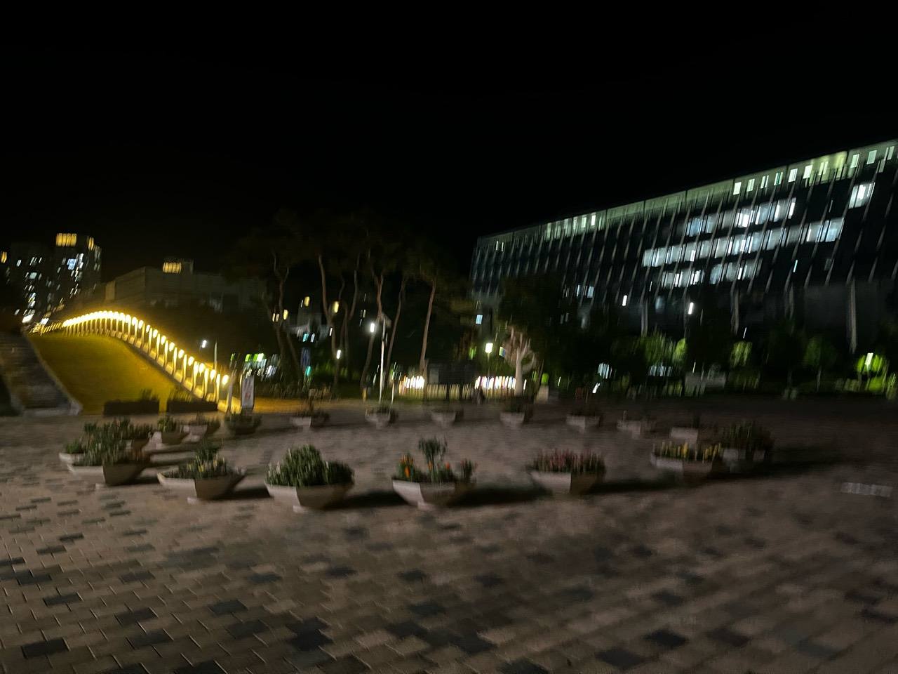 금빛 조명이 켜진 이응다리