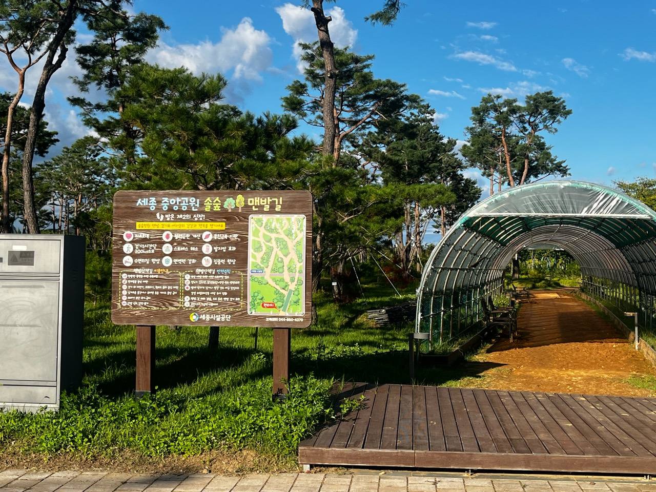 세종중앙공원 숲속 맨발길과 터널 입구