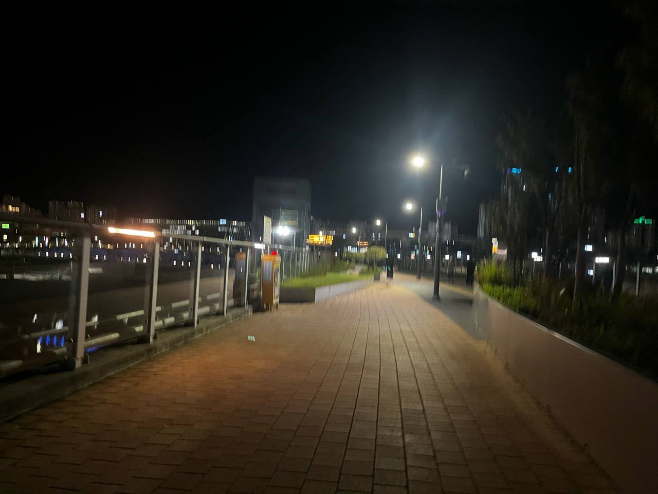 화단과 가로등 사이로 이어지는 이응다리 상층 야간 보행로