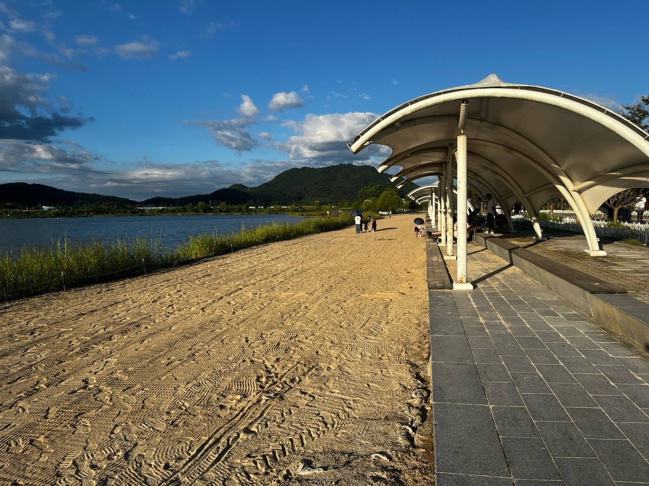 Lake Scenes Sandy Shore