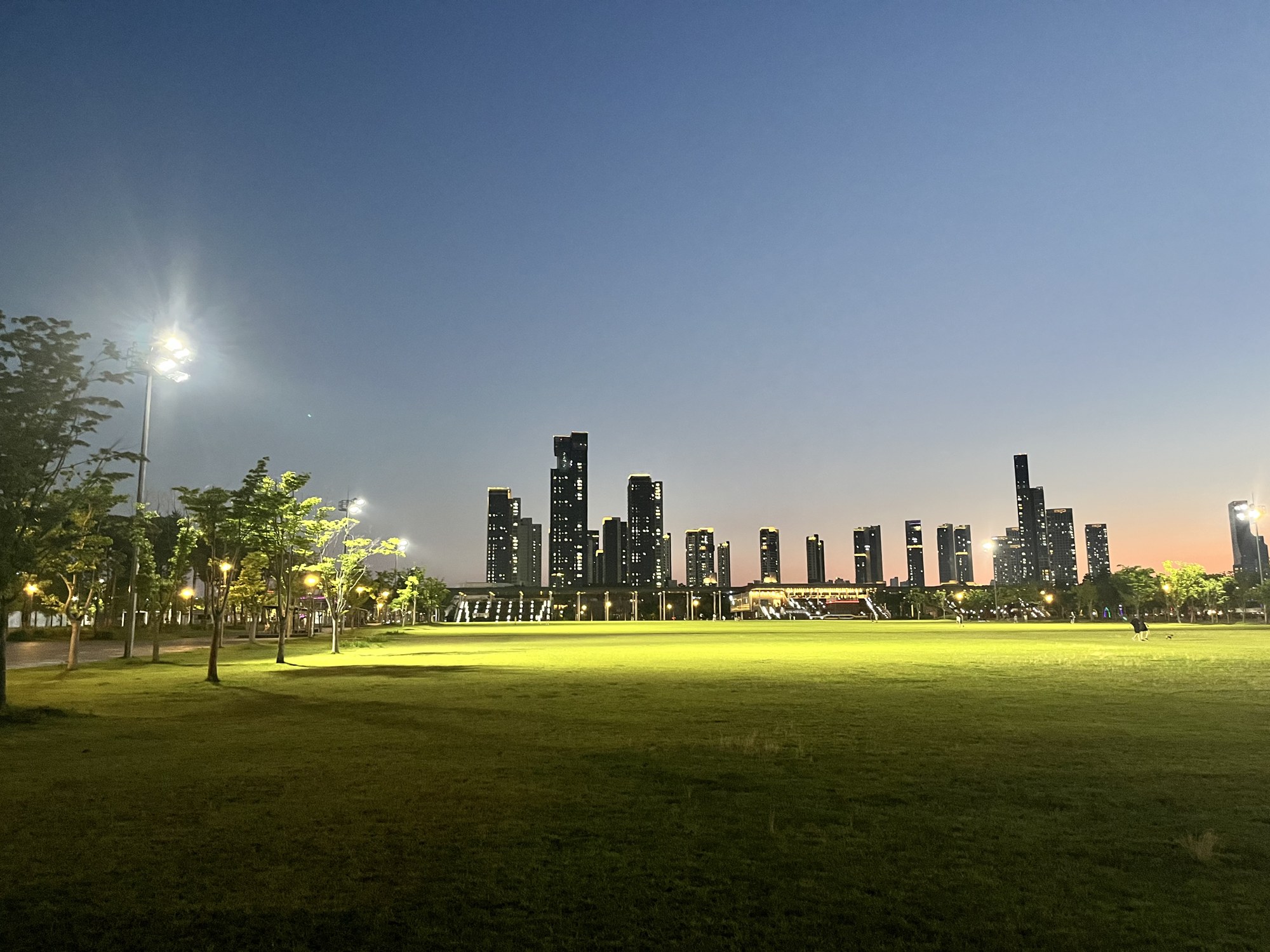 Sejong Day & Night Photo Guide: Parks & Ieung Bridge Routes